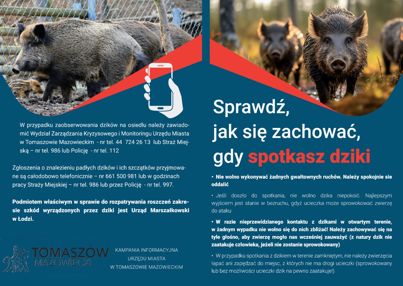Ulotka informująca o zagrożeniach dotyczących dzikich zwierząt