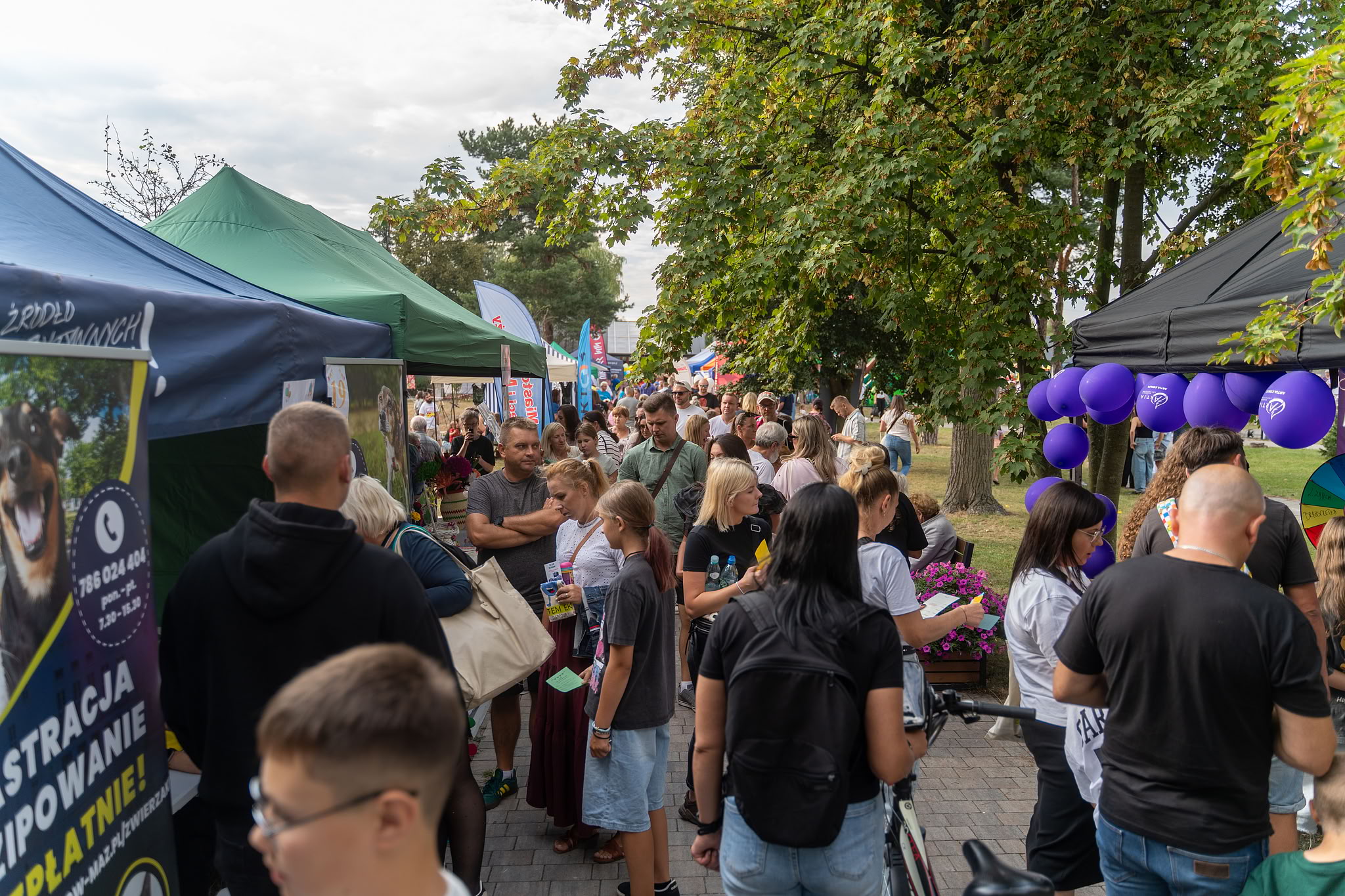 aktualność: Zapraszamy na Piknik Organizacji Pozarządowych LOKALNI NIEBANALNI