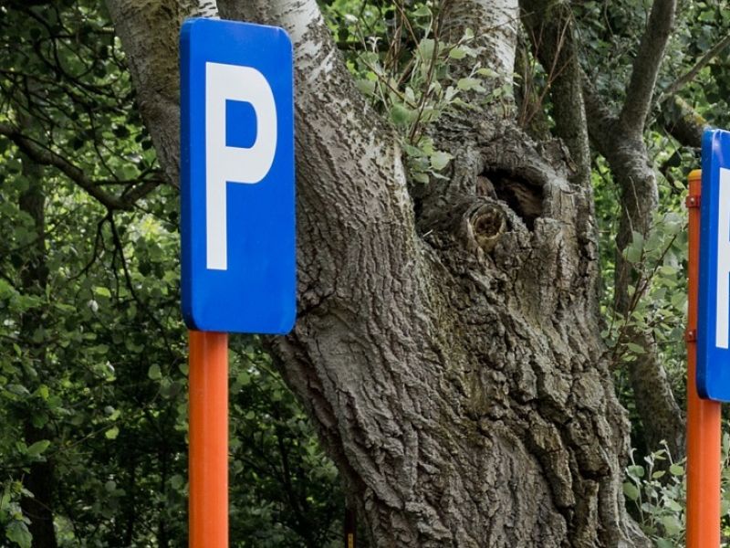 Parking do wynajęcia 